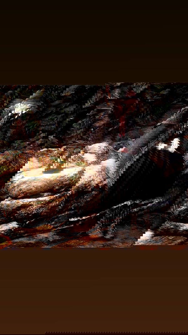 norafawn norafawn archive image