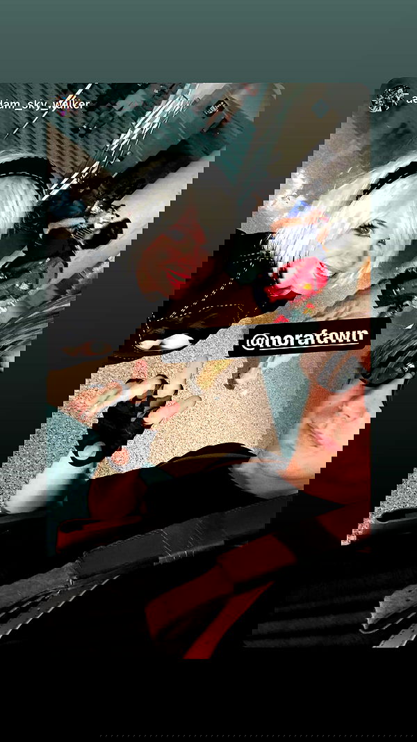 norafawn norafawn archive image