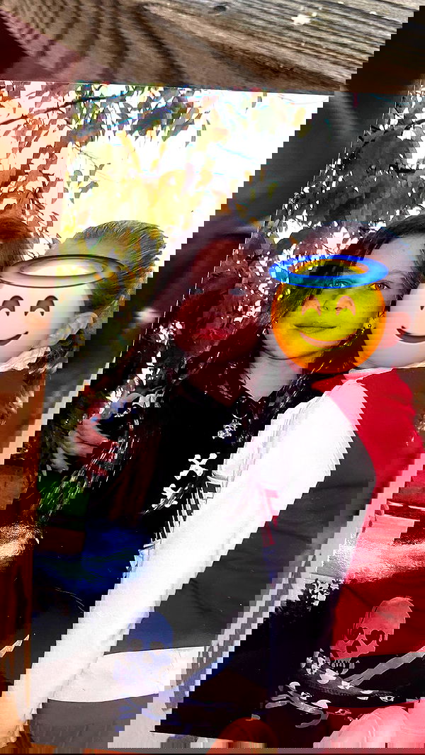 norafawn norafawn archive image