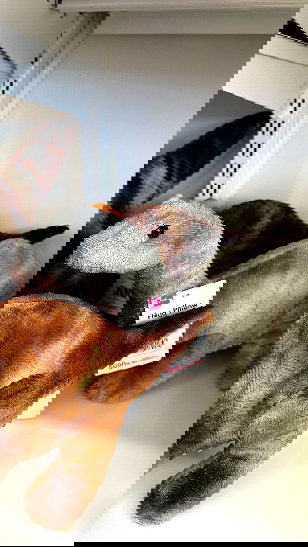 norafawn norafawn archive image