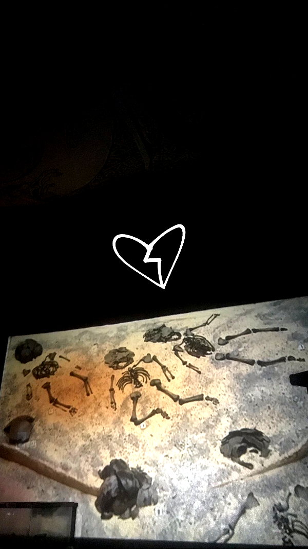 novahnovielli instagram image archive image