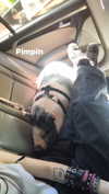 novahnovielli Altpins Profile Picture