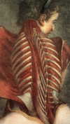 novahnovielli Altpins Profile Picture