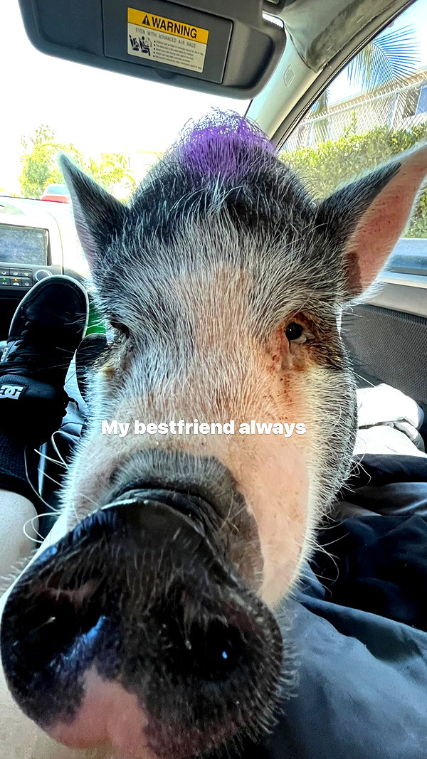 novahnovielli instagram image archive image