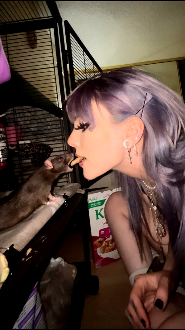 novahnovielli novahnovielli archive image