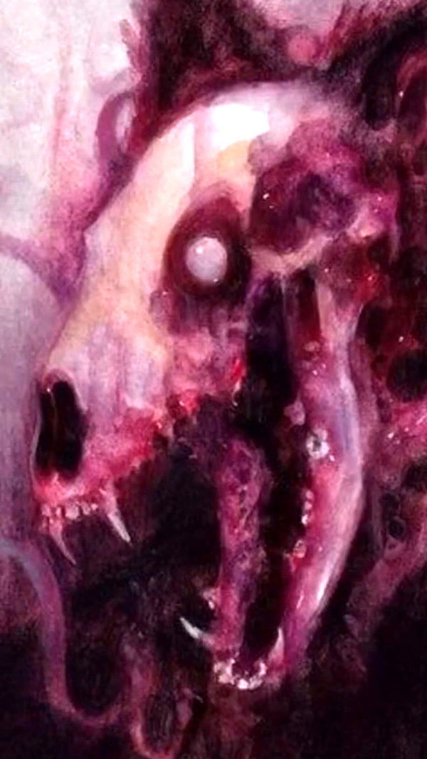 novahnovielli novahnovielli archive image