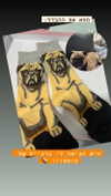 noy__erel Altpins Profile Picture