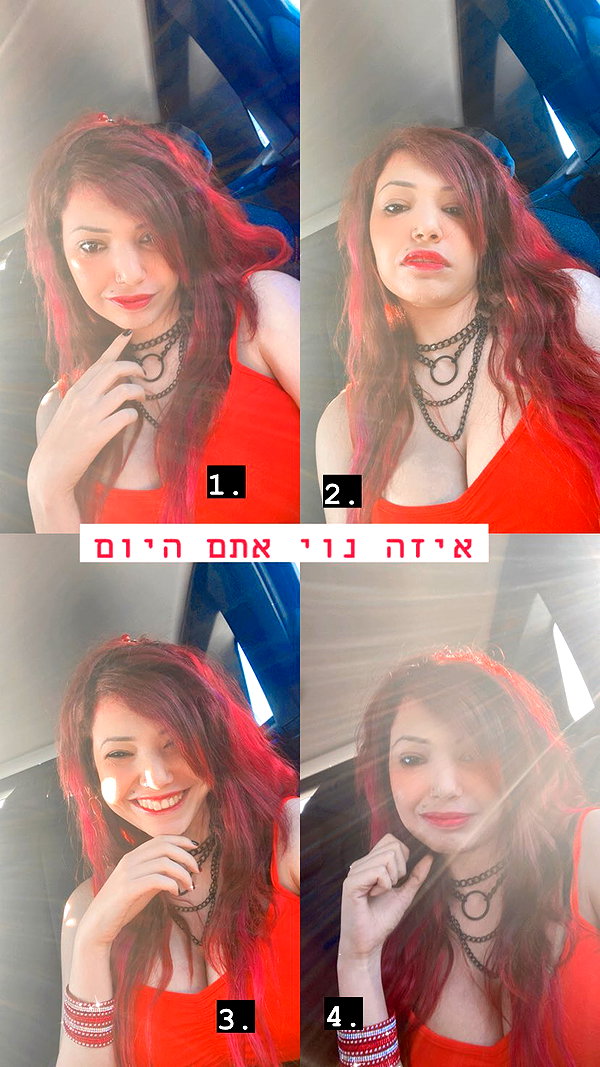 noy__erel noy__erel archive image