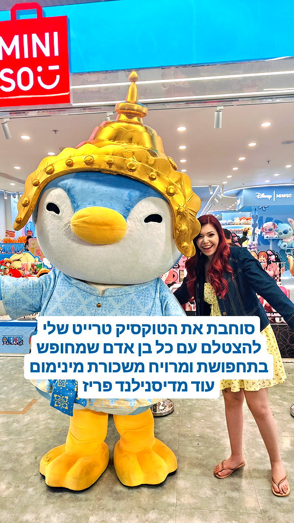 noy__erel noy__erel archive image