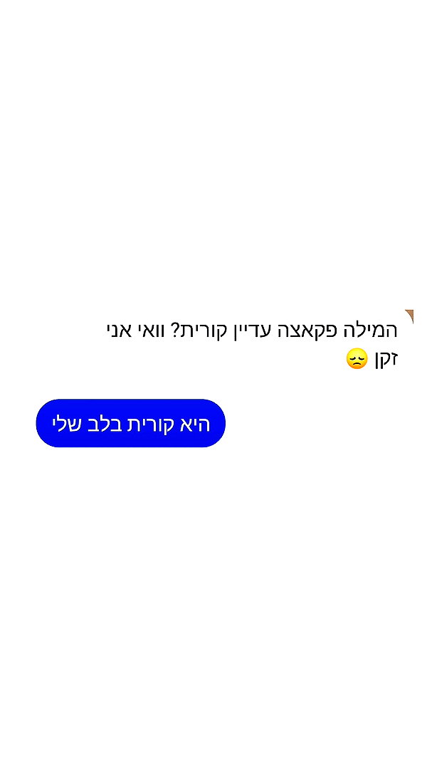 noy__erel noy__erel archive image