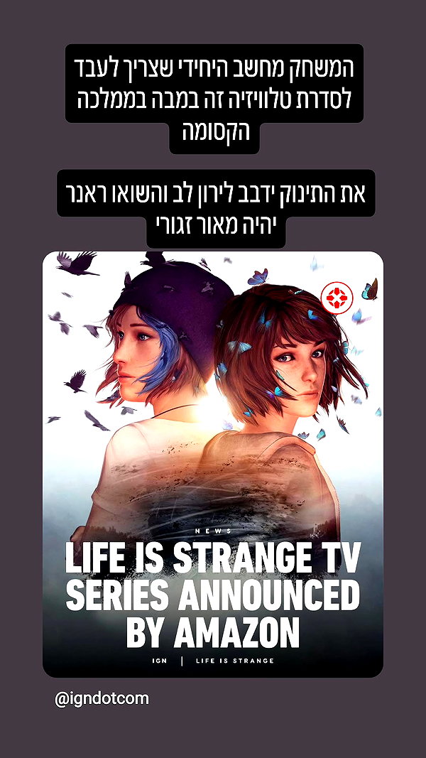 noy__erel noy__erel archive image