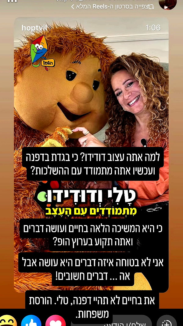 noy__erel noy__erel archive image