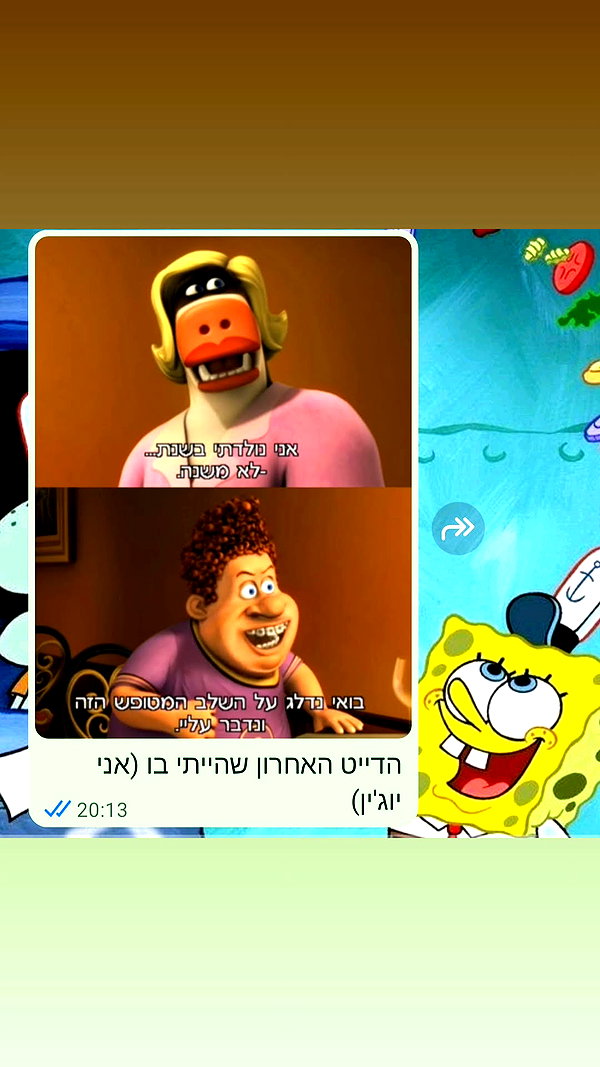noy__erel noy__erel archive image