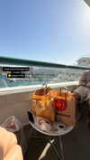 noy_cohen00 Altpins Profile Picture