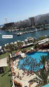 noy_cohen00 Altpins Profile Picture