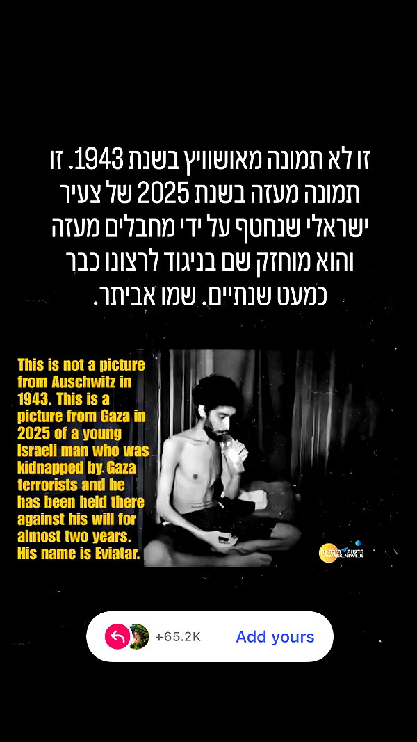 noy_cohen00 noy_cohen00 archive image