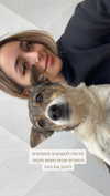 noy_cohen02 Altpins Profile Picture