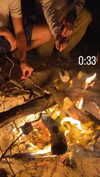 noy_cohen02 Altpins Profile Picture