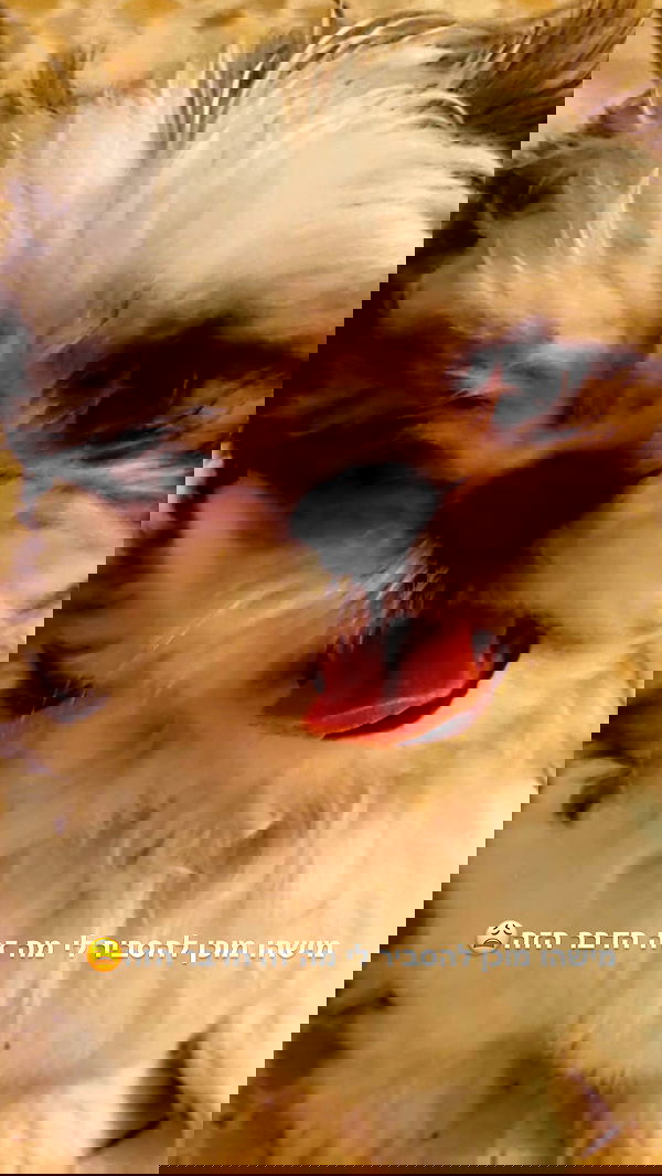 noyaislilith333 noyaislilith333 archive image