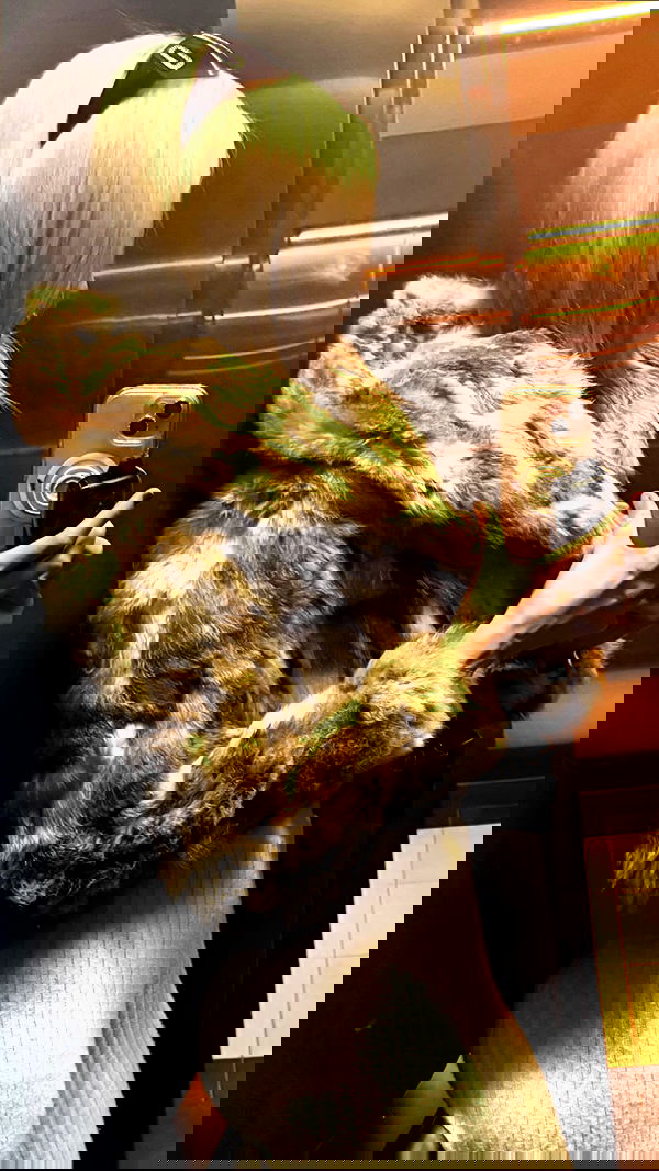 noyaislilith333 noyaislilith333 archive image