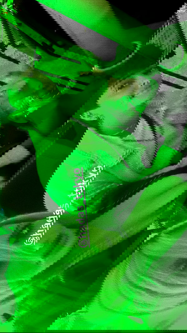 noyaislilith333 noyaislilith333 archive image