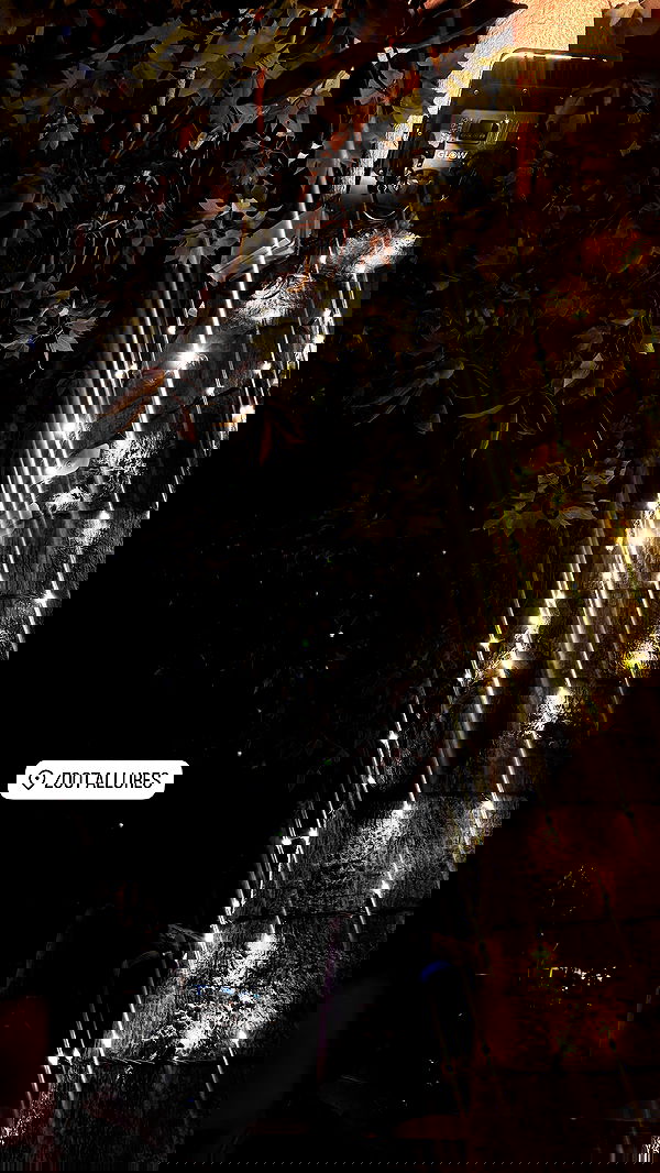 noyaislilith333 noyaislilith333 archive image