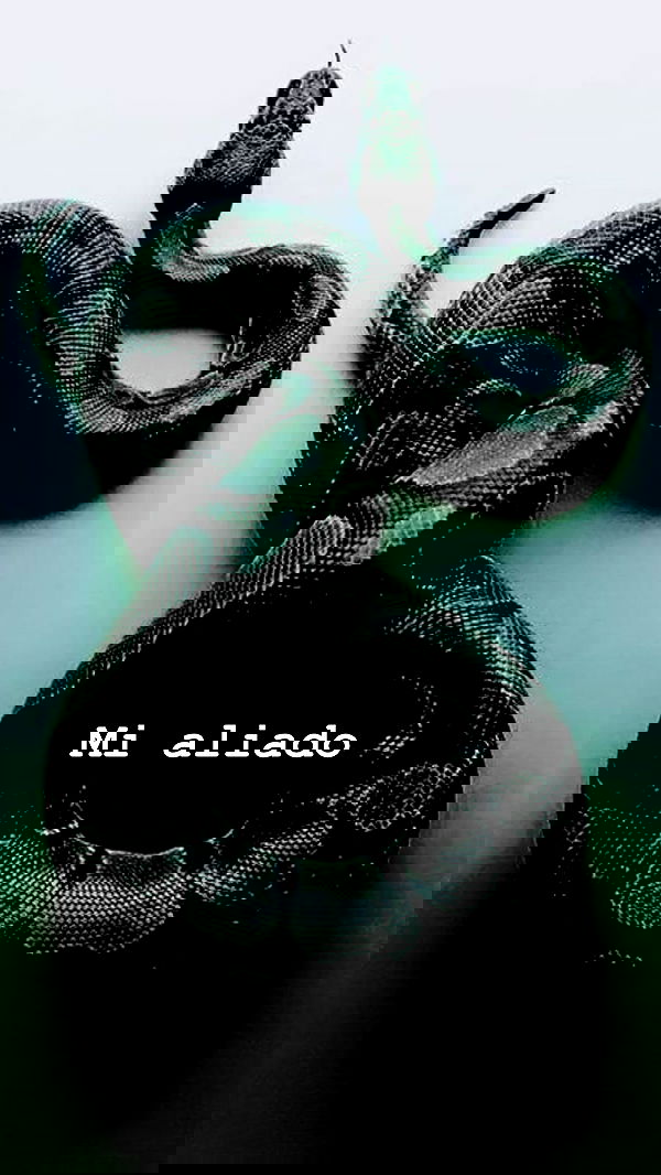 noyaislilith333 noyaislilith333 archive image