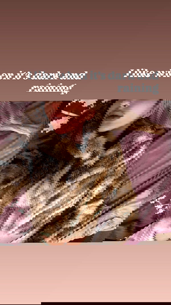 noyaislilith333 noyaislilith333 archive image