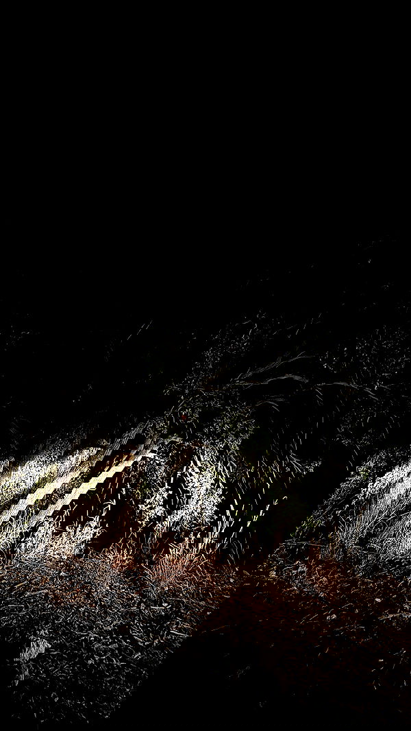 noyaislilith333 noyaislilith333 archive image