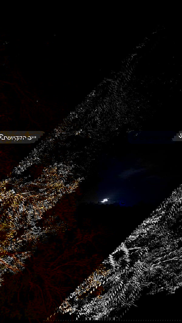 noyaislilith333 noyaislilith333 archive image