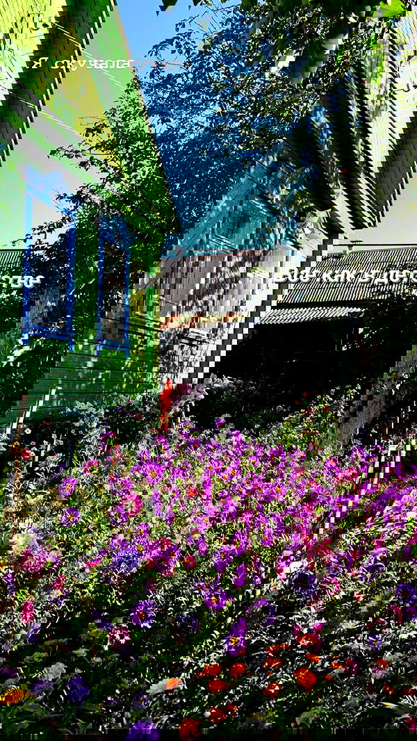 nyityam nyityam archive image