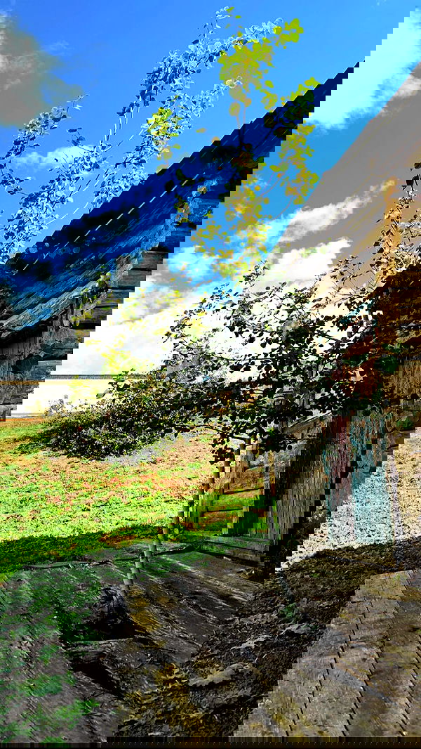 nyityam nyityam archive image