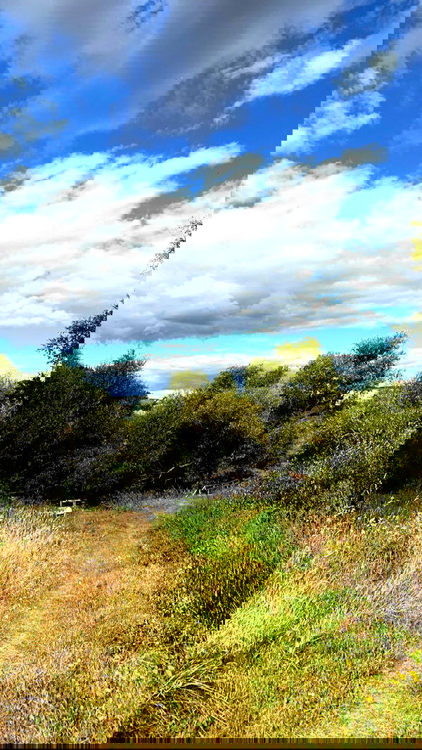 nyityam nyityam archive image