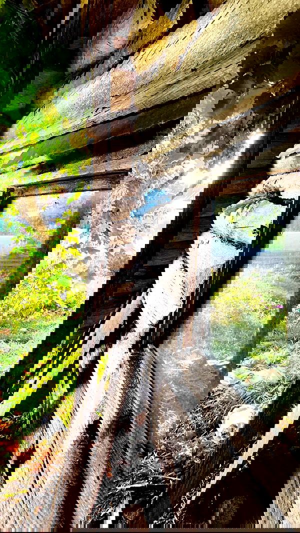 nyityam nyityam archive image