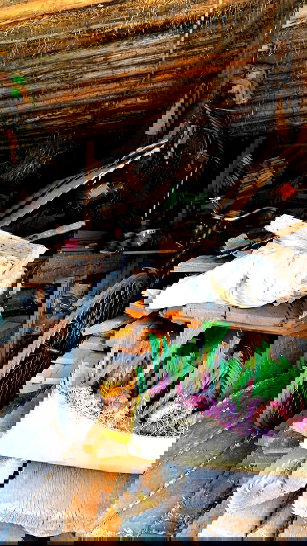 nyityam nyityam archive image