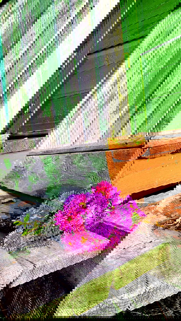 nyityam nyityam archive image