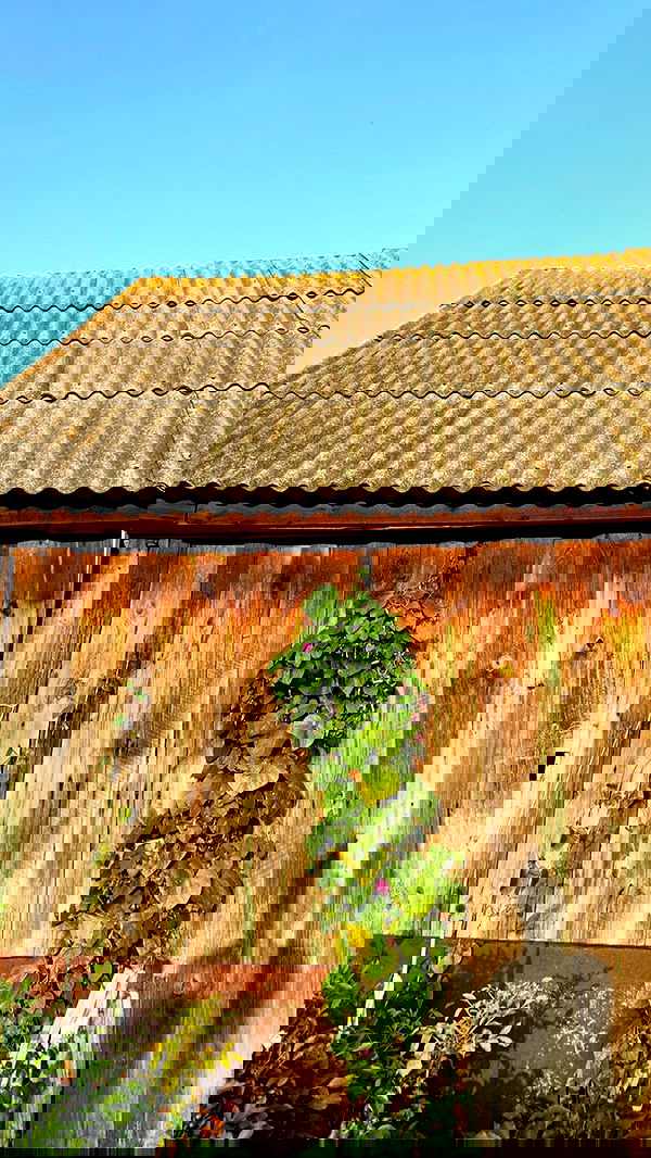 nyityam nyityam archive image