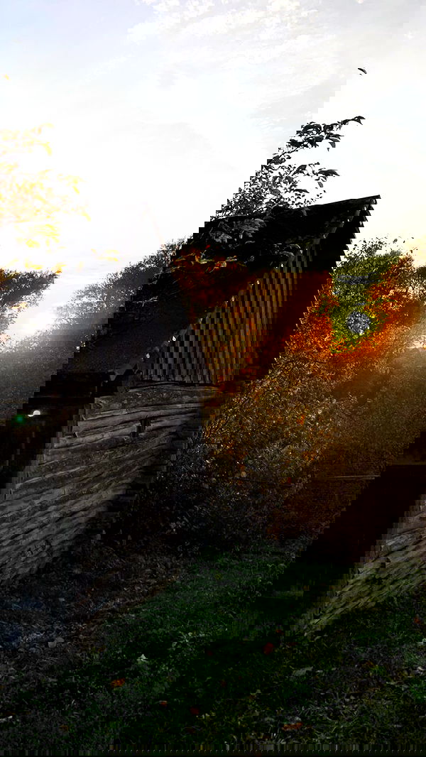 nyityam nyityam archive image