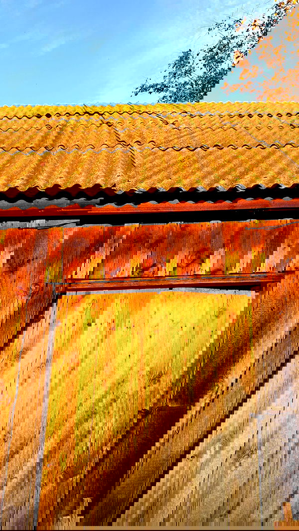 nyityam nyityam archive image