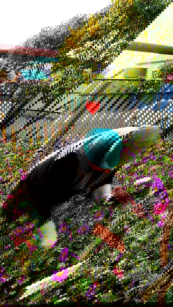 nyityam nyityam archive image