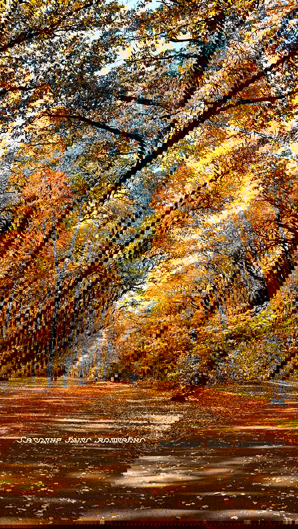 nyityam nyityam archive image