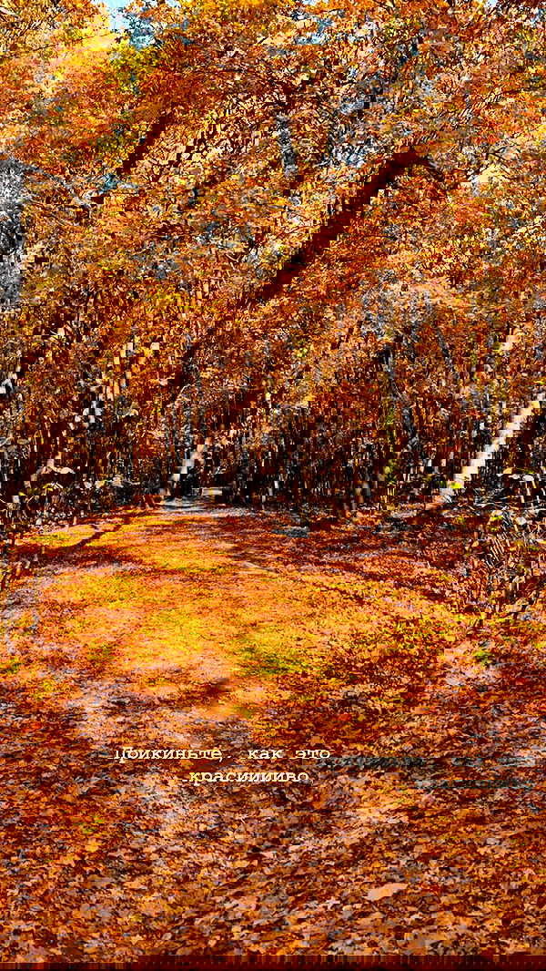 nyityam nyityam archive image