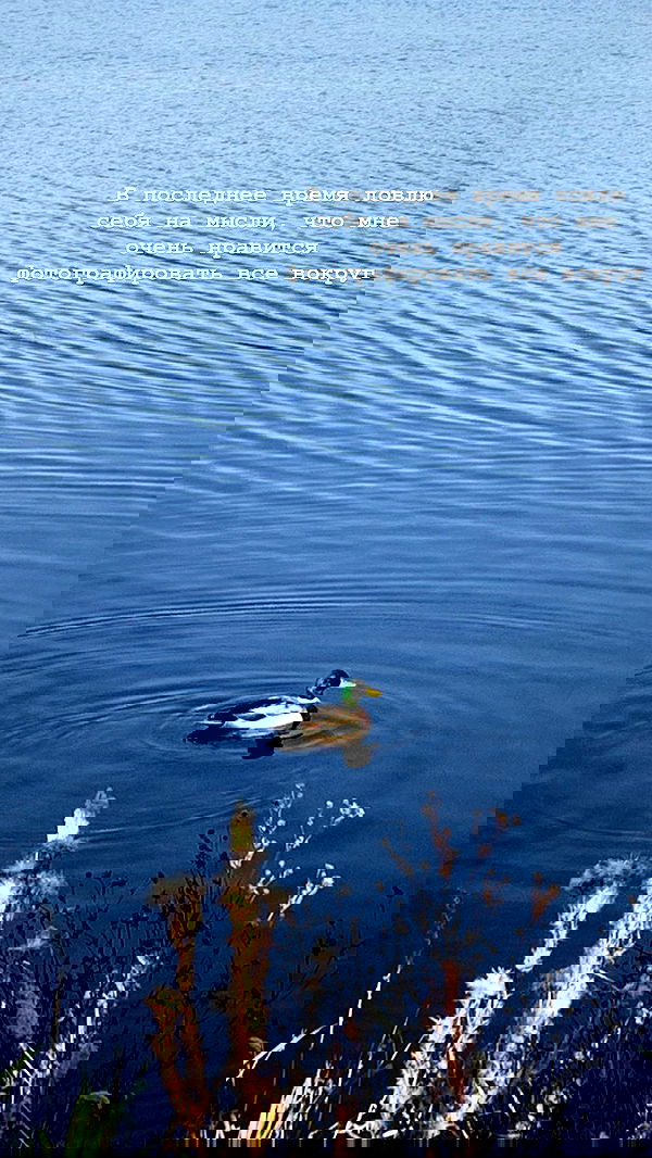 nyityam nyityam archive image