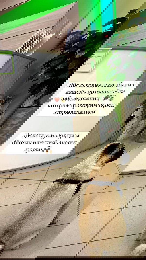 nyityam nyityam archive image