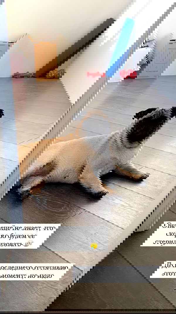 nyityam nyityam archive image