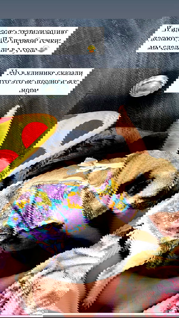 nyityam nyityam archive image