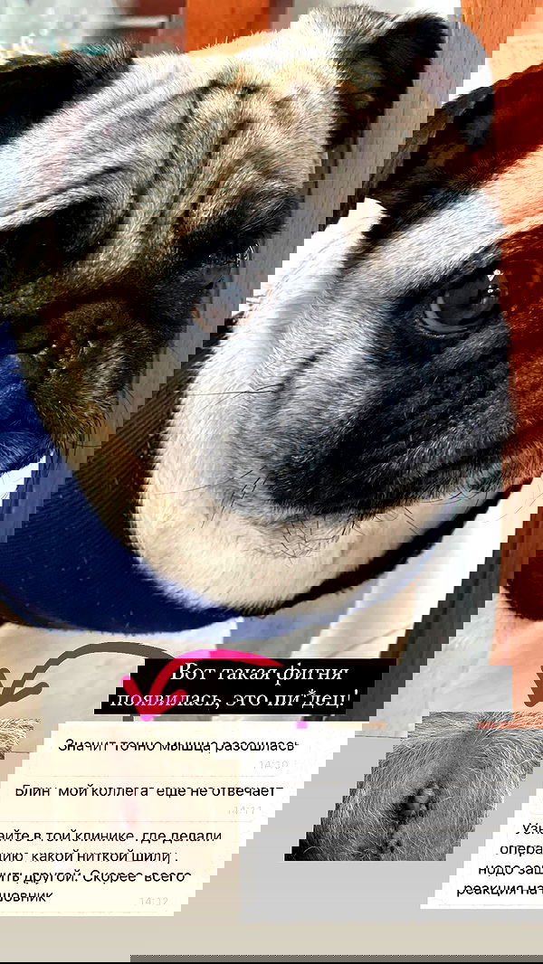 nyityam nyityam archive image