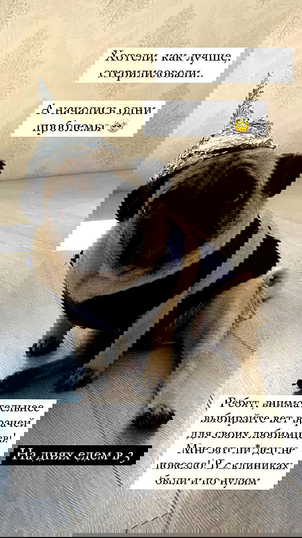 nyityam nyityam archive image