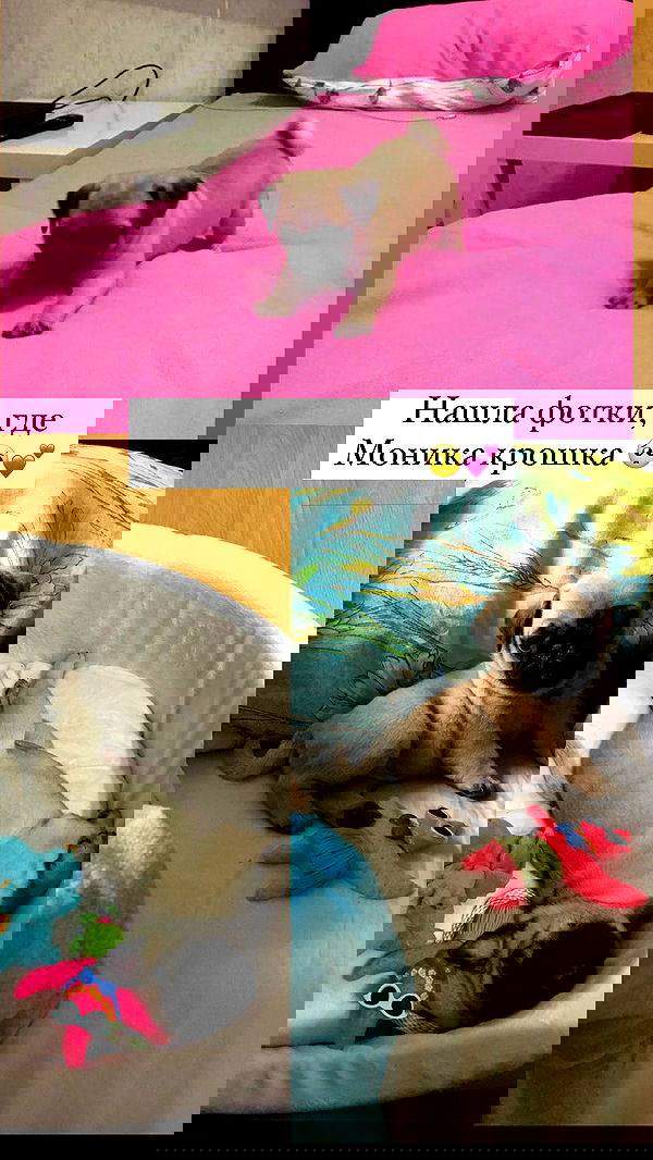 nyityam nyityam archive image