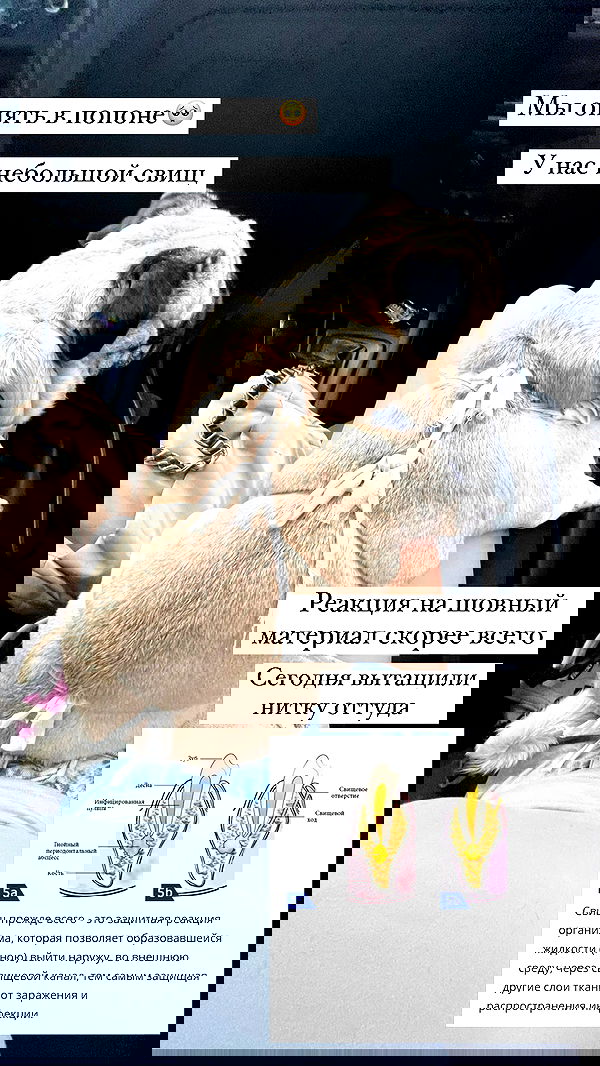 nyityam nyityam archive image